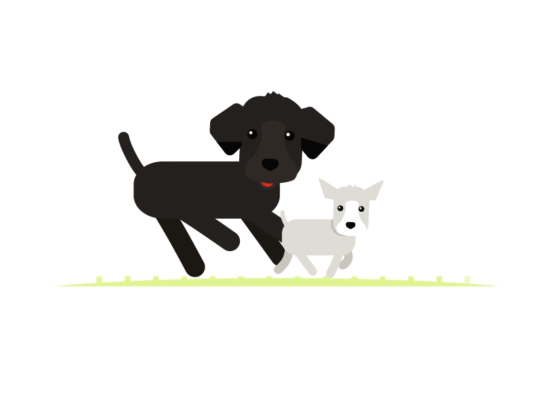 Lucy trot animation black lab chihuahua dog doggy lab labrador loop pup walk cycle