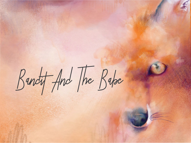 Bandit And The Babe by Brocksfield Design Co. on Dribbble