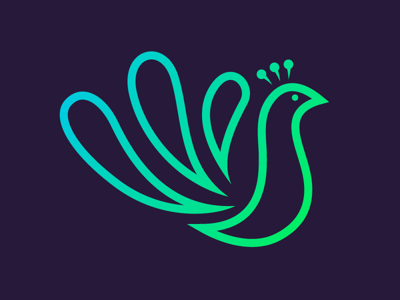 Peacock peacock branding graphic desgin logo