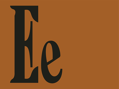 Some E's! custom type design lettering lettering daily type typography typography design