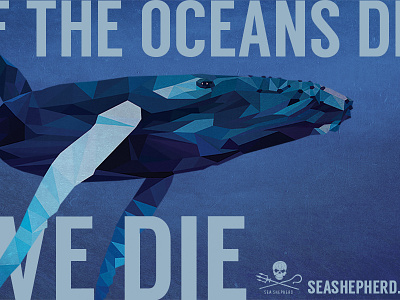 Sea Shepherd blue conservation ocean shapes texture vector whale