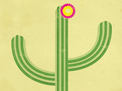 Cactus cactus illustrator texture