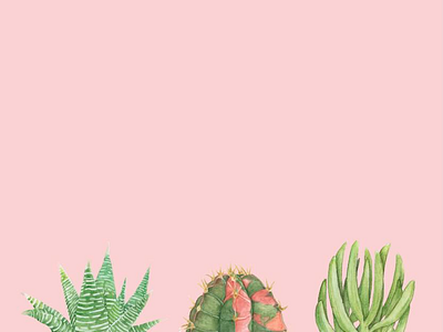 Lovely Cactus cactus flowers illustration pink vector watercolor