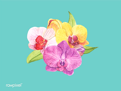 Watercolor flowers design illustration orchids pattern vector watercolor