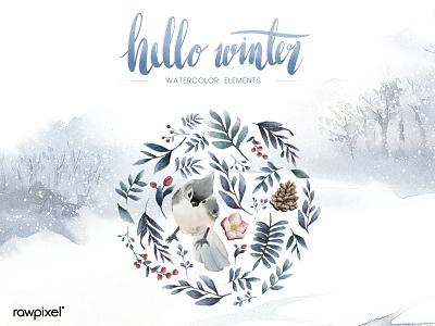 hello winter watercolor elements beautiful cactus design drawn elements graphic illustration typography vector watercolor winter