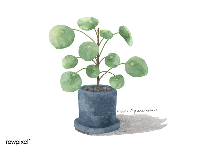 Watercolor Plants beautiful cute design graphic green illustration vector watercolor