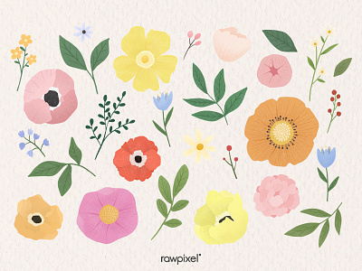 Colorful Flowers Vector Set beautiful cute design flower foliage graphic illustration leaves vector