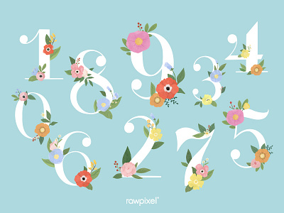 Colorful Flowers Vector Set beautiful cute design element flower flowers graphic green background illustration leaf nature typography vector