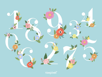 Colorful Flowers Vector Set