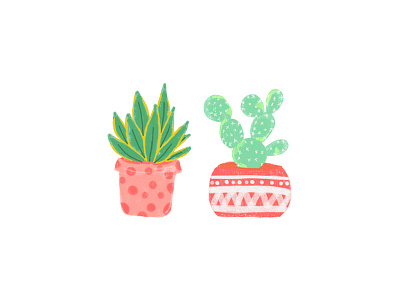 Little Cacti