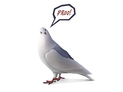 Proo! animal bird cartoon character cute dove draw illustration pigeon toon