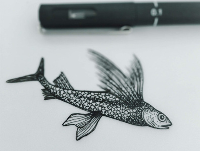 The flying fish black creature dot fish flying hand drawn illustration pen sea sketch sketching sky