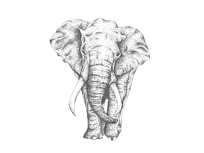 Stippled Elephant blackwhite drawing elephant illustration pointilism stippled stippling wildlife