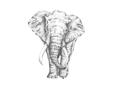 Stippled Elephant