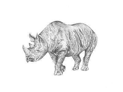 Stippled Rhino blackwhite drawing illustration pointilisms rhino stippled stippling wildlife