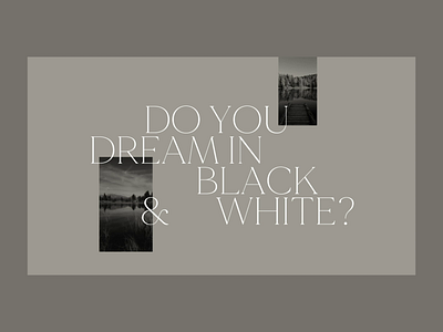 To Have And To Hold after effects animation art direction black and white dreams gallery graphicdesign interaction design mountains nature photography typography web animation website