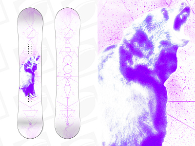 Zerogravity Snowboard "Grizzly" bear grizzly illustration purple snowboard space zero gravity