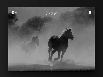 Lea Bonifay blackandwhite design horse portfolio ui webdesign