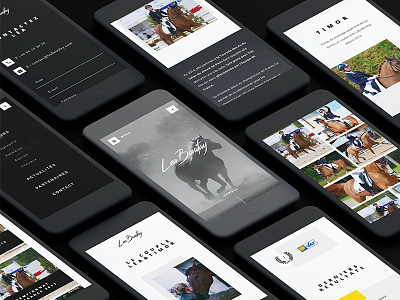 Lea Bonifay design horse mobile responsive ui webdesign