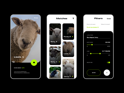 Sheep Dating App @appdesign app branding design flat minimal typography ui ui deisgn ux