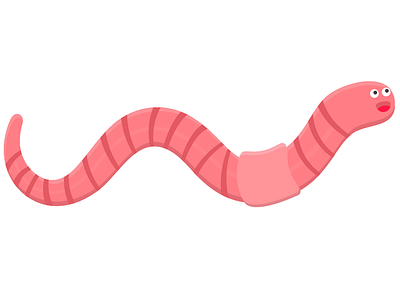 Wormy animal earthworm pink wildlife worm