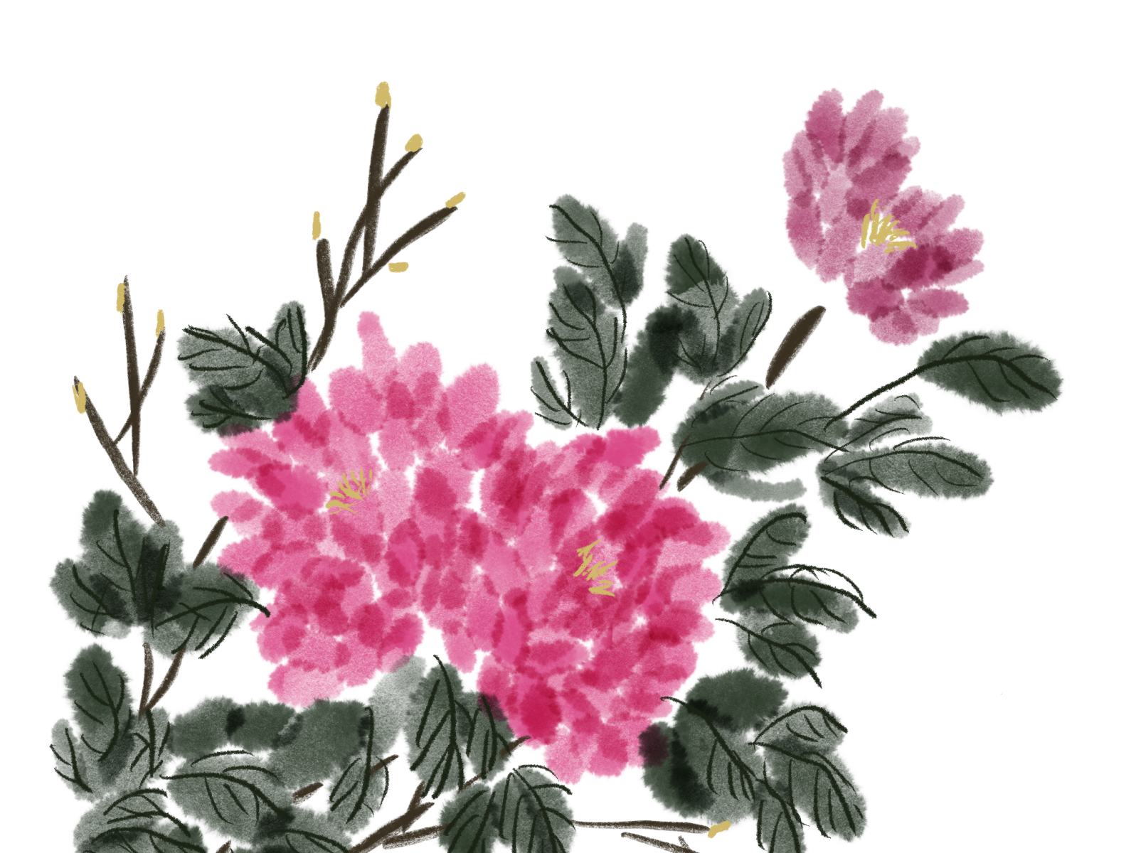 Peony in Digital Ink-painting by Yumei Jin on Dribbble