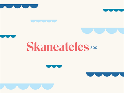 Skaneateles300 branding branding lake logo skaneateles water waves