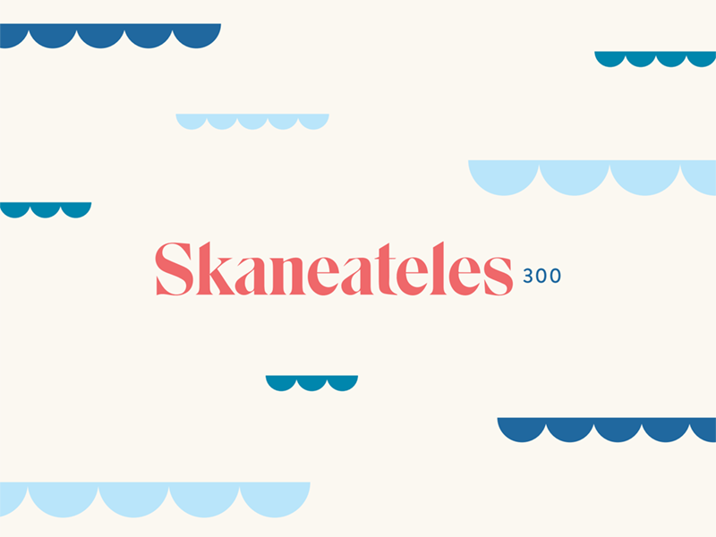 Skaneateles300 branding water lake waves logo skaneateles branding