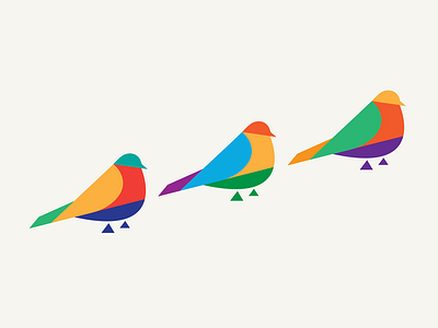 Bird study 2 bird colorblock