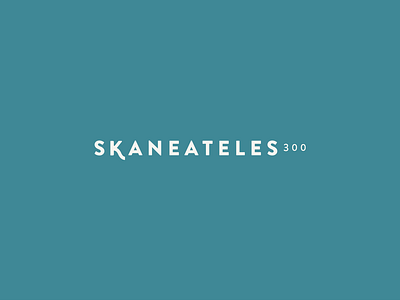 Skaneateles300 re-brand boutiquebranding identity logo upstateny womenswear