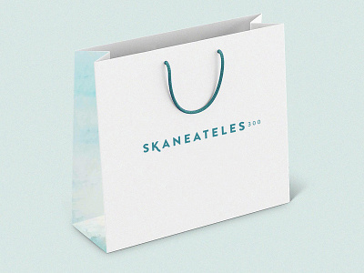 Skaneateles300 packaging bag design clothing store bag clothing store branding packaging