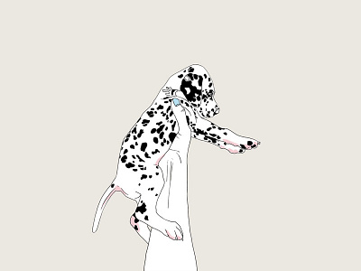 Dalmatien charlotte dessine digital illustration pastel