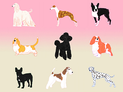 Dogs afghan hound animals basset hound boston terrier dalmatian design dog dog illustration doggy dogs fox terrier french bulldog milica golubovic pattern pets poodle spaniel whippet