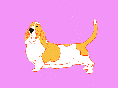 Basset Hound basset basset hound bright colors design dog doggy dogs illustration milica golubovic retro