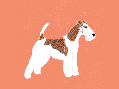 Fox Terrier art digital illustration dog dog lovers dogs fox terrier illustration milica golubovic pets