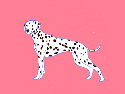 Dalmatian dalmatian dalmatian dog design dog dog lovers dogs dots illustration milica golubovic retro