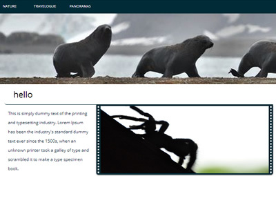 photography page wip panorama photography seal tarantula website