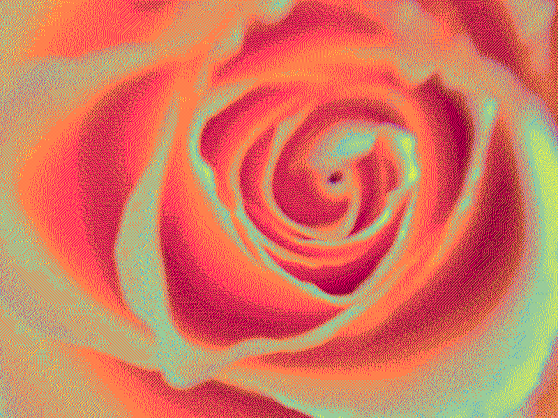 Just a small effect tryout cmyk effect flower pixelated rose tryout