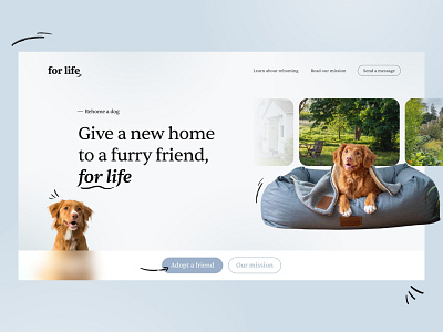 For Life - Dog Rehoming clean creative daily ui digital dog dogs doodles gradient landing page minimal pets ui user interface ux web web design website webui