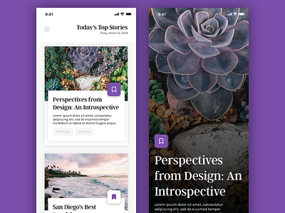 Blog/Story App Concept blogging ios mobile stories