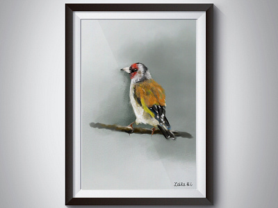 Bird bird colour concept design digital painting illustration inspiration nature photoshop print sale yellow