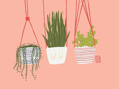 Plants artist barcelona breasts cute hanging pots illustration illustration art nature plant plant based plants pots