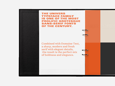 Brand manual brand brand manual branding folder identity manual print type typography