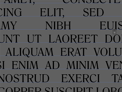 Screenshot 150518 font ipsum lorem lorem ipsum process screenshot test text trial type typography wip