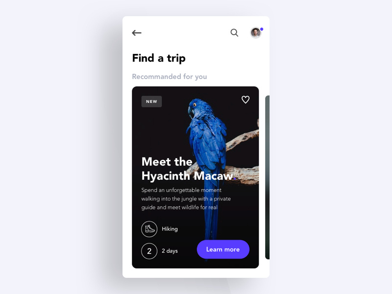 Travel adventure concept thumbnail mobile ux ui thumbnail