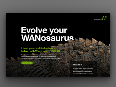 WANosaurus Landing Page campaign landing page ui web design