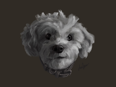 poodle practice digital painting poodle