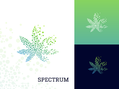 Spectrum Cbd