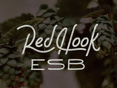 Redhook Lettering beer brush custom customtype lettering