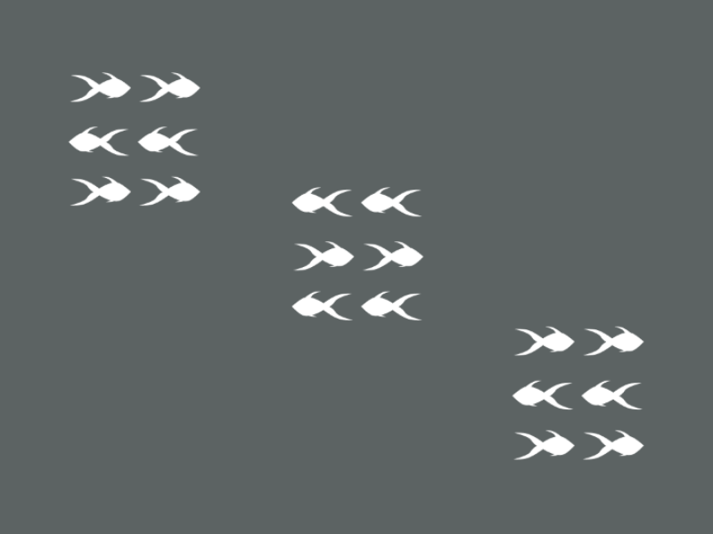 Gestalt Principles: Proximity fish proximity gestalt figma